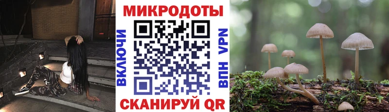 Галлюциногенные грибы ЛСД  Нижняя Салда 